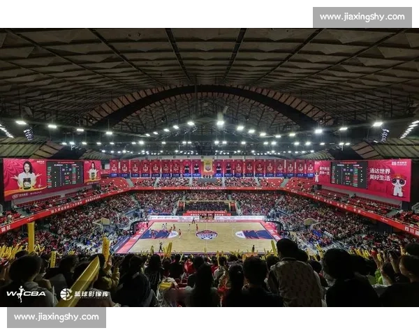 沙克vs巅峰对决力量技巧时代传奇正面碰撞篮球历史经典之战全景解析