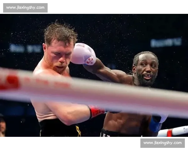 梅威瑟vs哈顿高清经典对决全程回顾拳坛巅峰之夜历史级技术解析与荣耀时刻