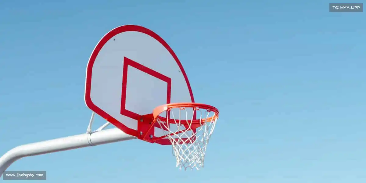 行业领先的理由